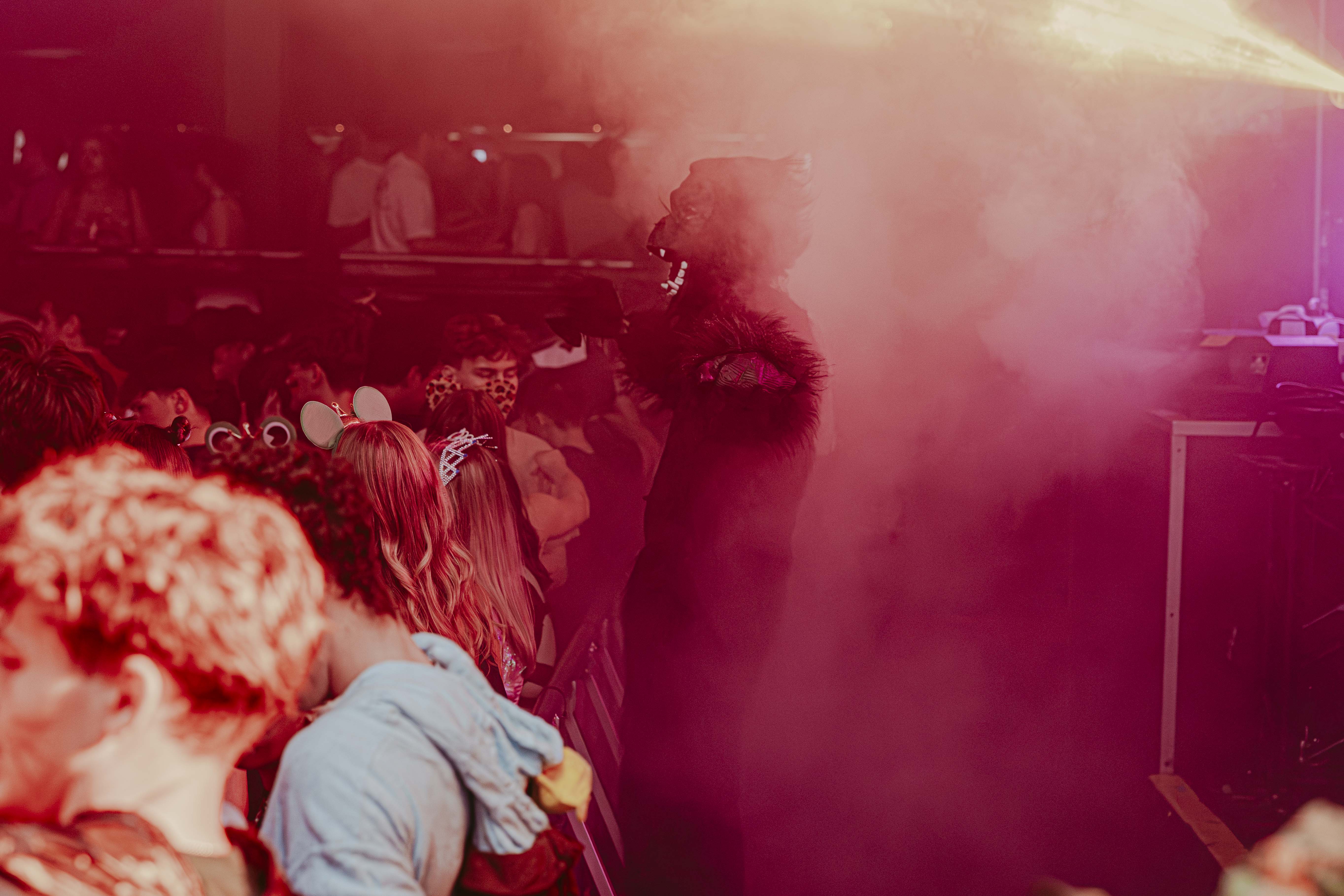 Photo from Wild Things