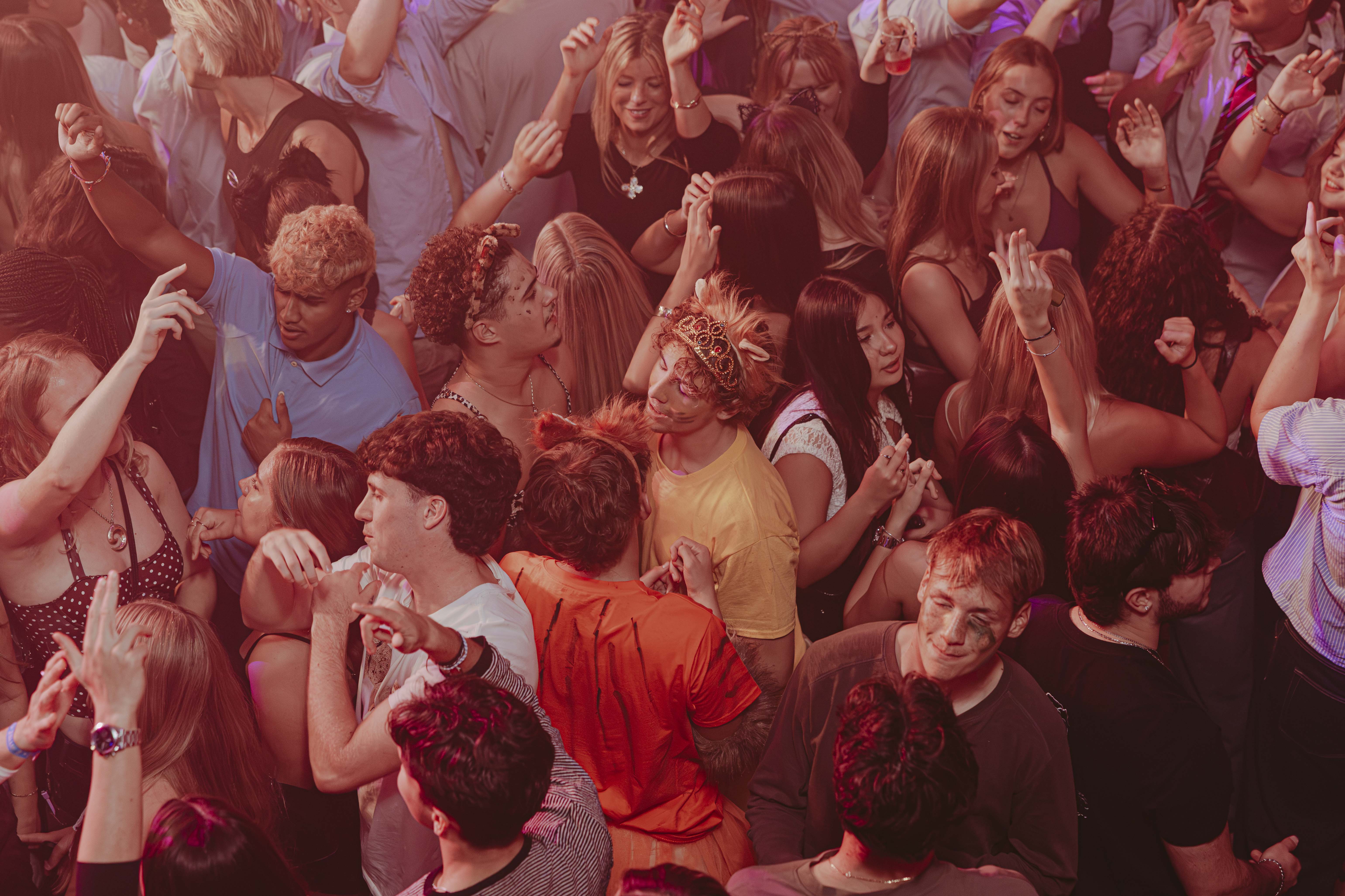 Photo from Wild Things