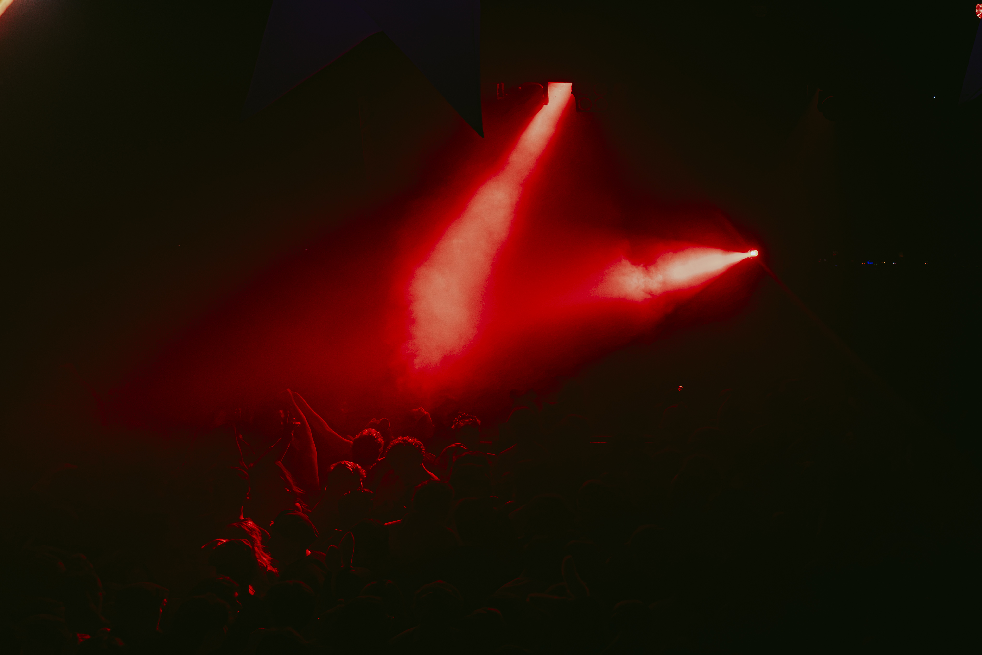 Photo from Wild Things